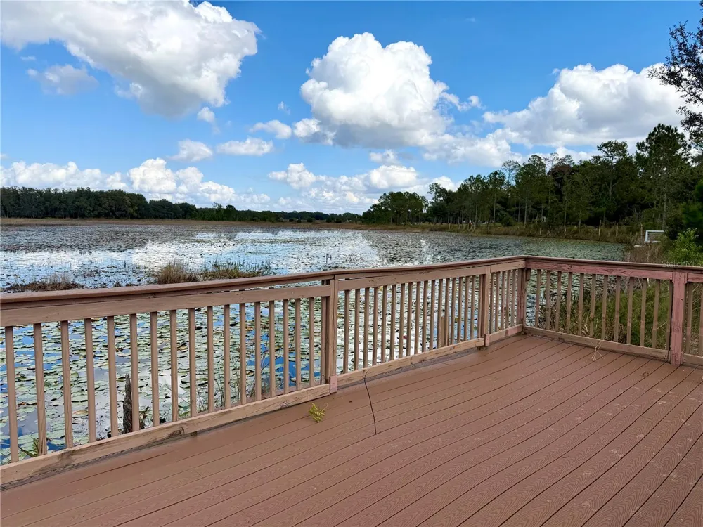 BONSMARA DRIVE Groveland, FL 34736