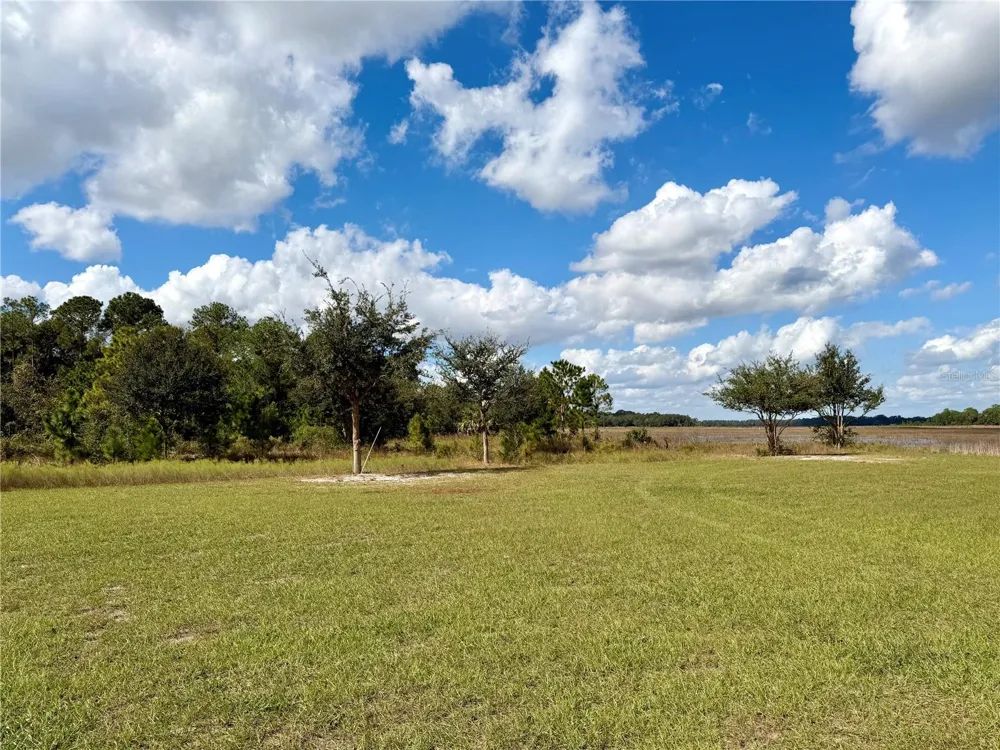 BONSMARA DRIVE Groveland, FL 34736