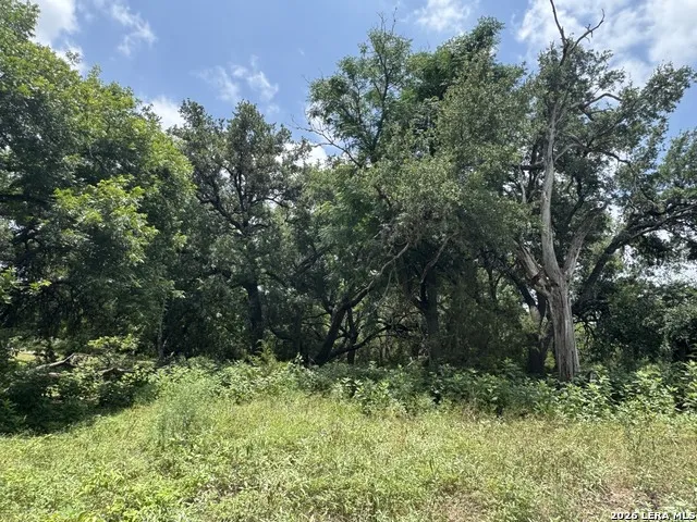359 BUD DANNER DR Leakey, TX 78873