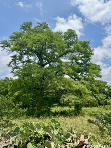 359 BUD DANNER DR Leakey, TX 78873