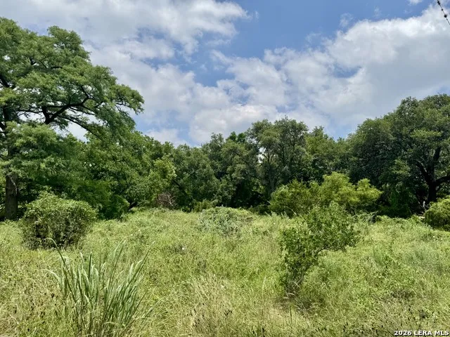 359 BUD DANNER DR Leakey, TX 78873