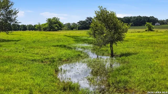 7410 FM 1295 Moulton, TX 77975