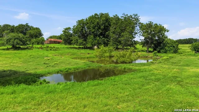 7410 FM 1295 Moulton, TX 77975