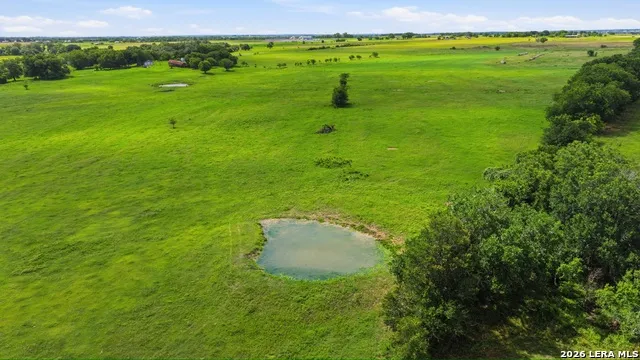 7410 FM 1295 Moulton, TX 77975