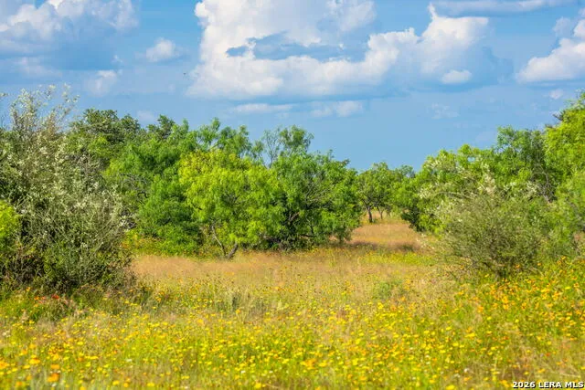 0 County Road 106 Llano, TX 78643