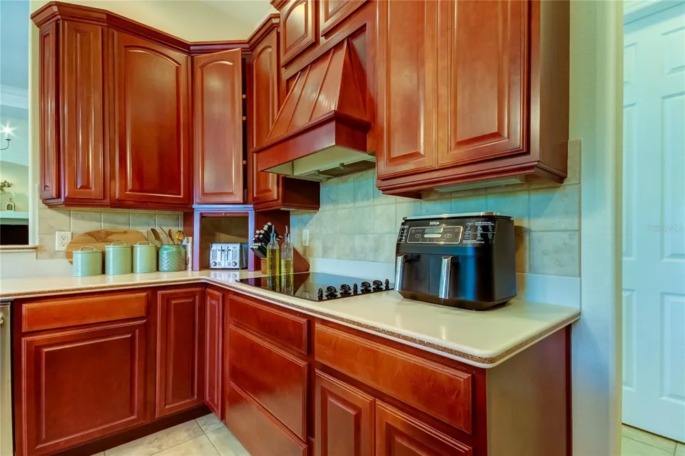 1422 ARISTIDES COURT Odessa, FL 33556
