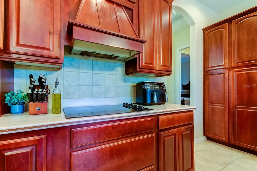 1422 ARISTIDES COURT Odessa, FL 33556