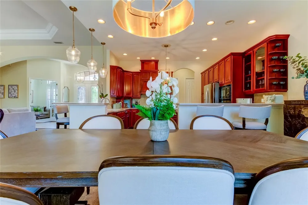 1422 ARISTIDES COURT Odessa, FL 33556
