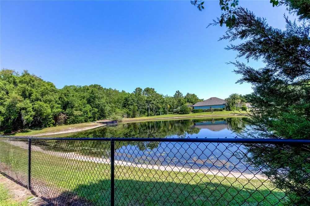 1422 ARISTIDES COURT Odessa, FL 33556