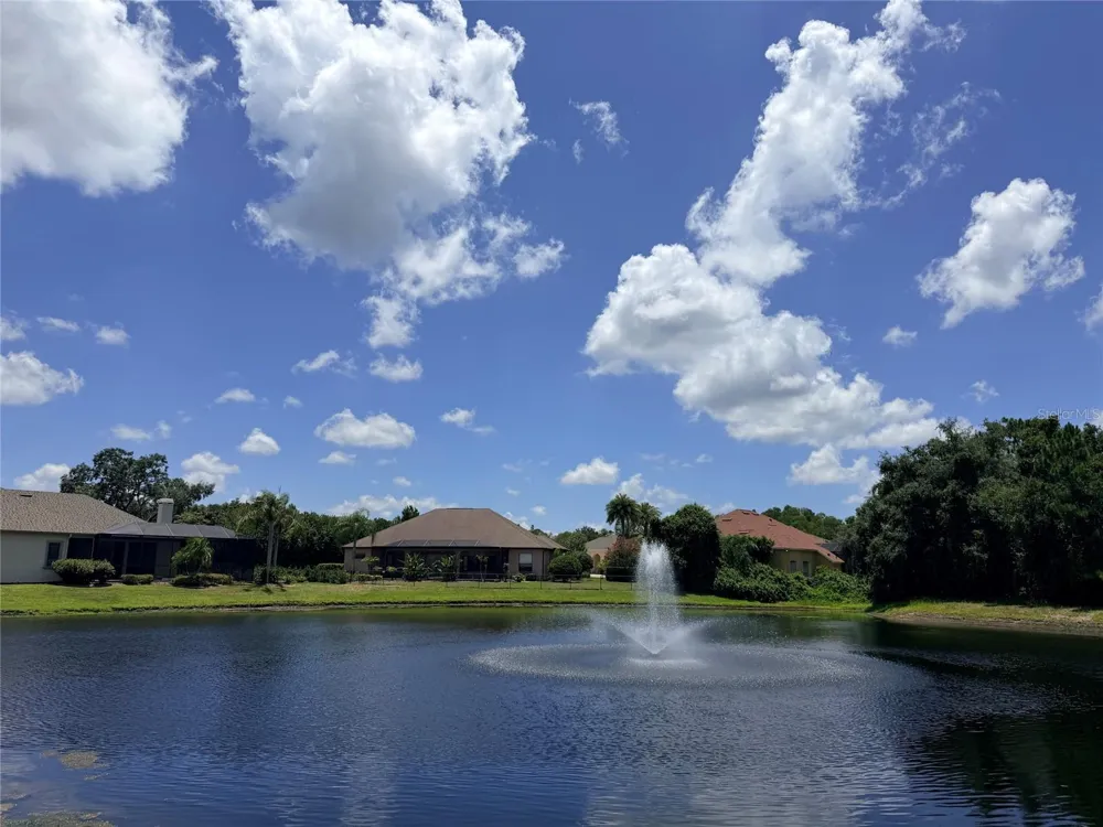 1422 ARISTIDES COURT Odessa, FL 33556