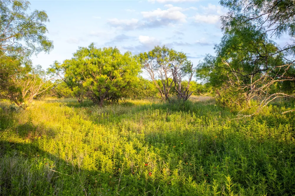 Broke O Road Llano, TX 78643