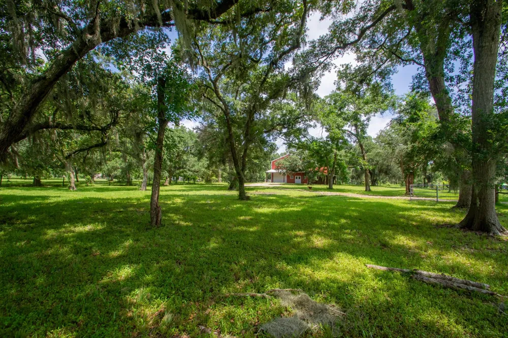 2668 Fm 522 Road Brazoria, TX 77422