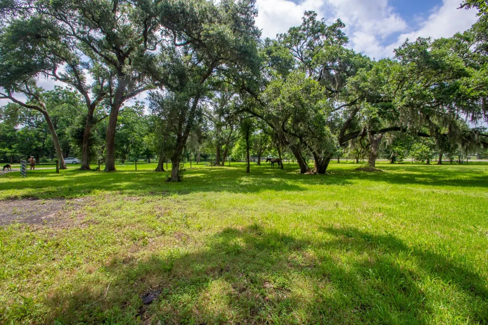 2668 Fm 522 Road Brazoria, TX 77422