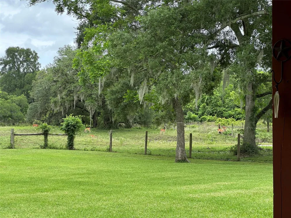 2668 Fm 522 Road Brazoria, TX 77422