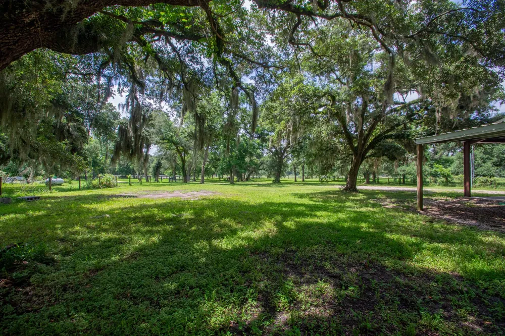 2668 Fm 522 Road Brazoria, TX 77422