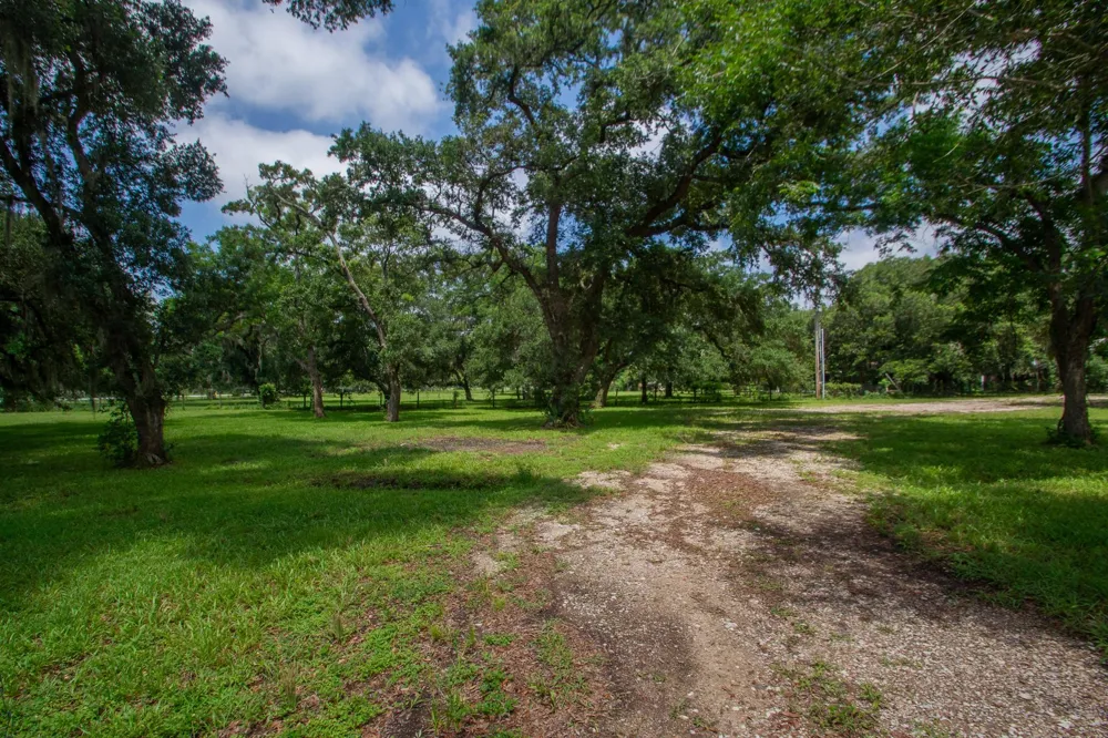 2668 Fm 522 Road Brazoria, TX 77422