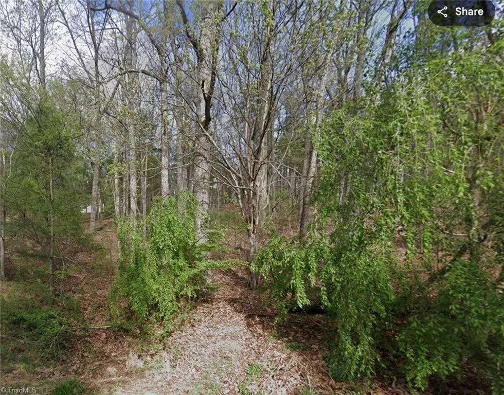 TBD Laurel Mountain Road North Wilkesboro, NC 28659