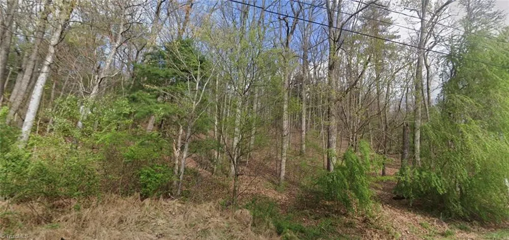 TBD Laurel Mountain Road North Wilkesboro, NC 28659