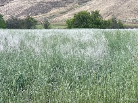 0 Kellogg Hollow Road