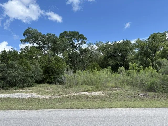 19615 Terra Mont Drive San Antonio, TX 78255