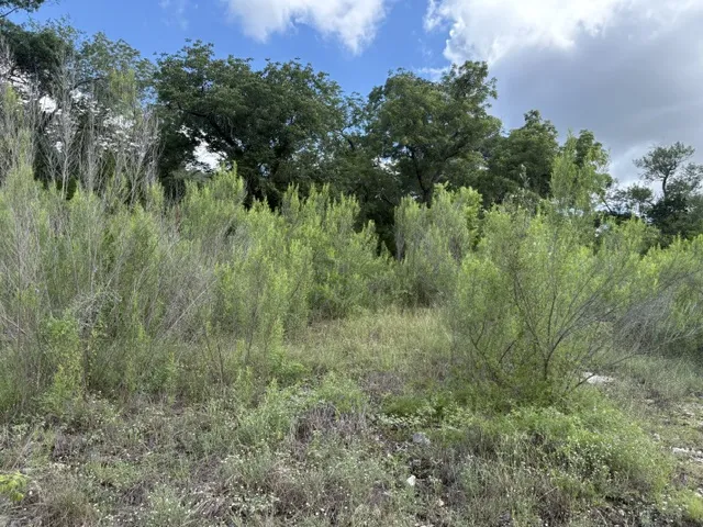 19615 Terra Mont Drive San Antonio, TX 78255