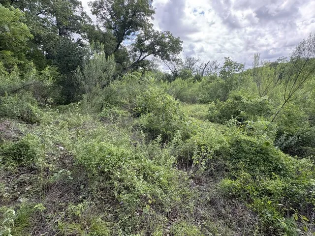 19615 Terra Mont Drive San Antonio, TX 78255