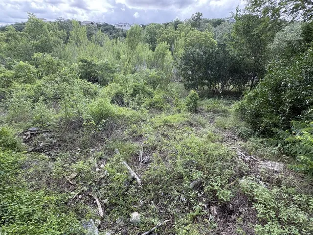 19615 Terra Mont Drive San Antonio, TX 78255