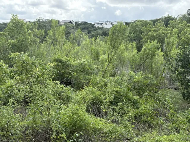 19615 Terra Mont Drive San Antonio, TX 78255