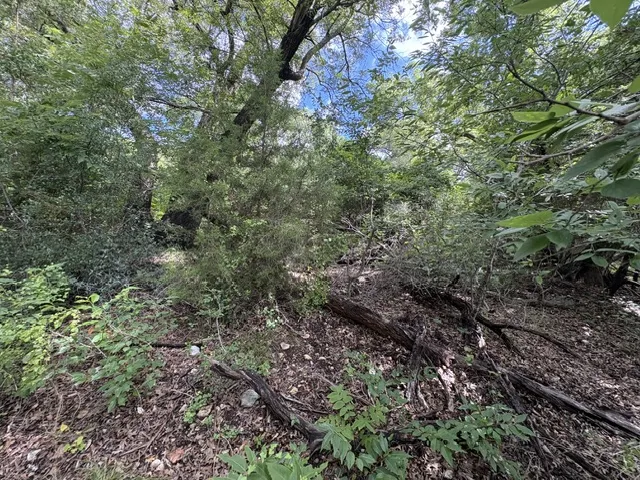 19615 Terra Mont Drive San Antonio, TX 78255