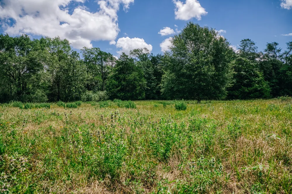 9713 County Road 316 Caldwell, TX 77836