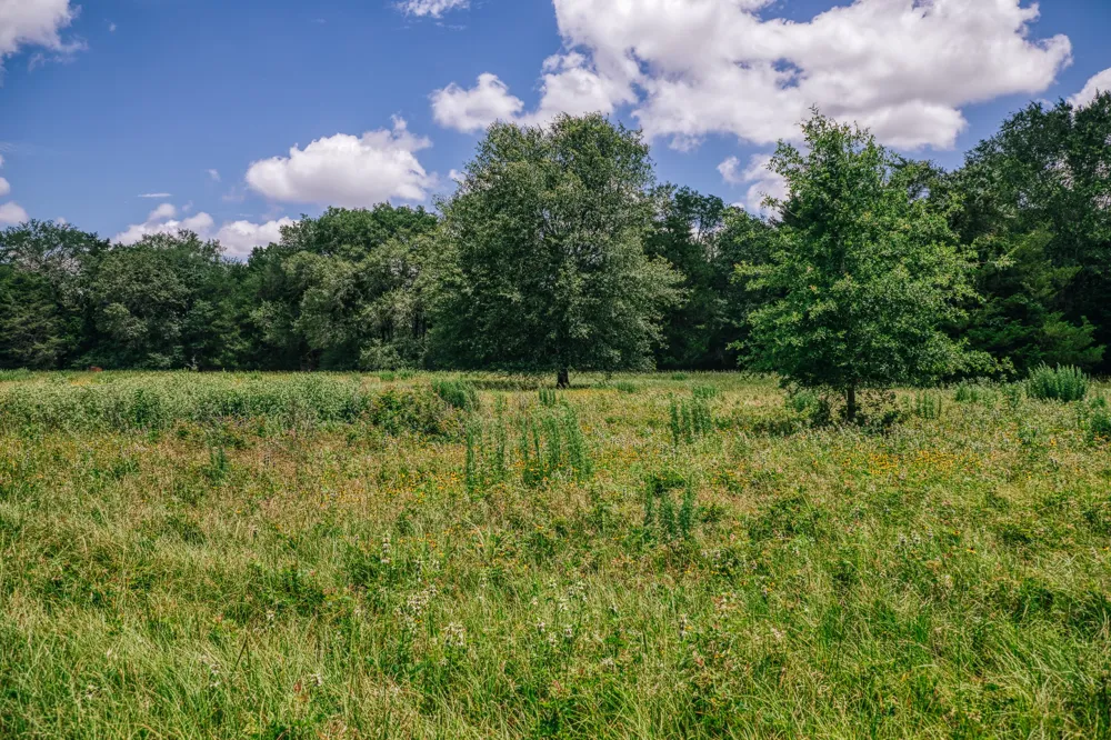 9713 County Road 316 Caldwell, TX 77836