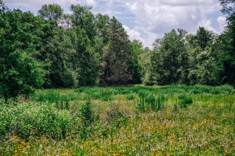 9713 County Road 316 Caldwell, TX 77836