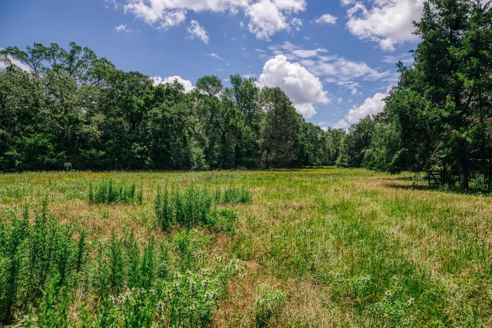 9713 County Road 316 Caldwell, TX 77836