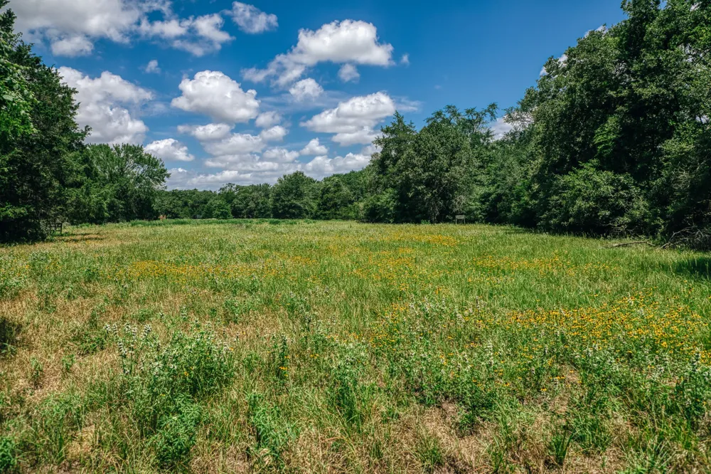 9713 County Road 316 Caldwell, TX 77836