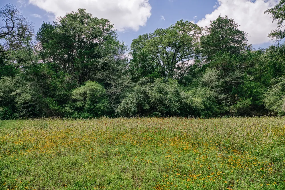 9713 County Road 316 Caldwell, TX 77836