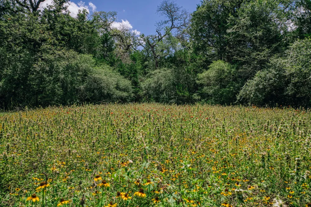 9713 County Road 316 Caldwell, TX 77836