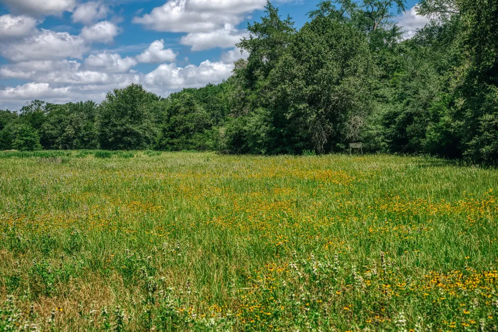 9713 County Road 316 Caldwell, TX 77836