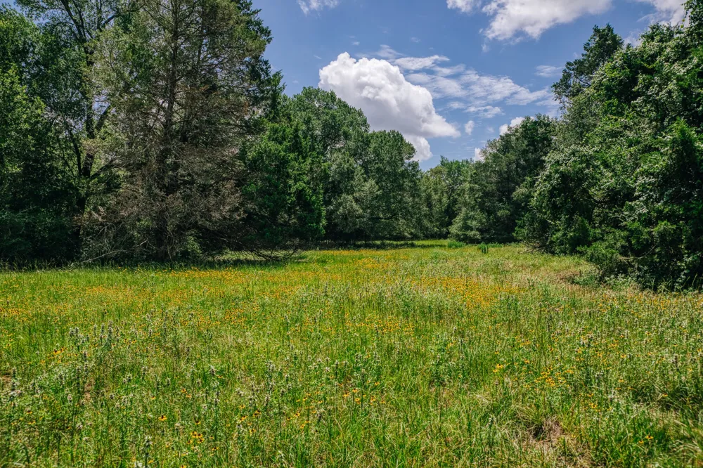 9713 County Road 316 Caldwell, TX 77836