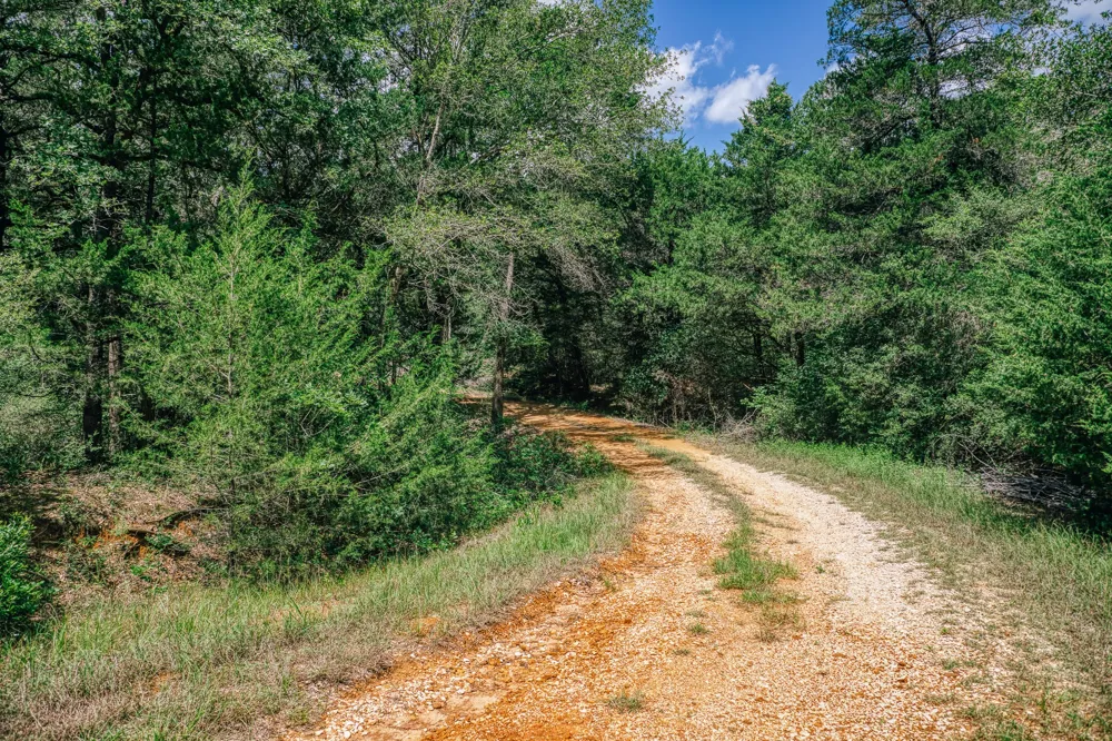 9713 County Road 316 Caldwell, TX 77836