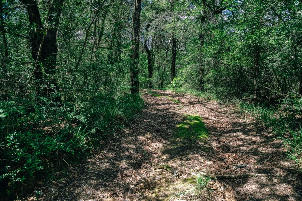 9713 County Road 316 Caldwell, TX 77836