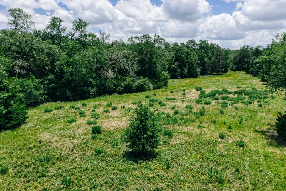 9713 County Road 316 Caldwell, TX 77836