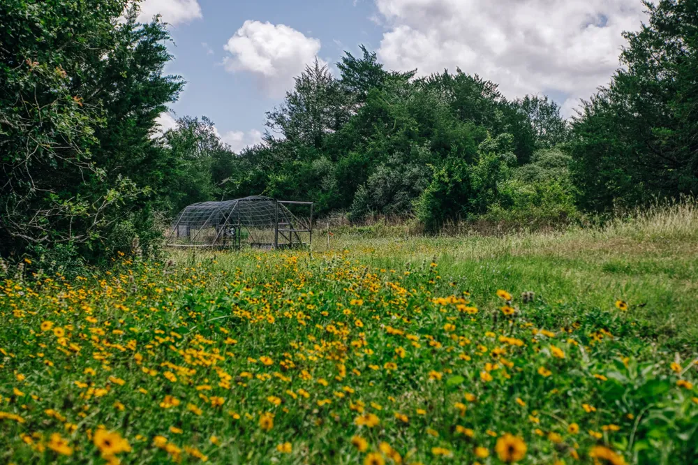 9713 County Road 316 Caldwell, TX 77836