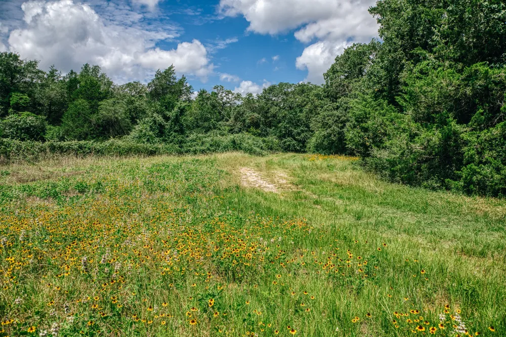 9713 County Road 316 Caldwell, TX 77836