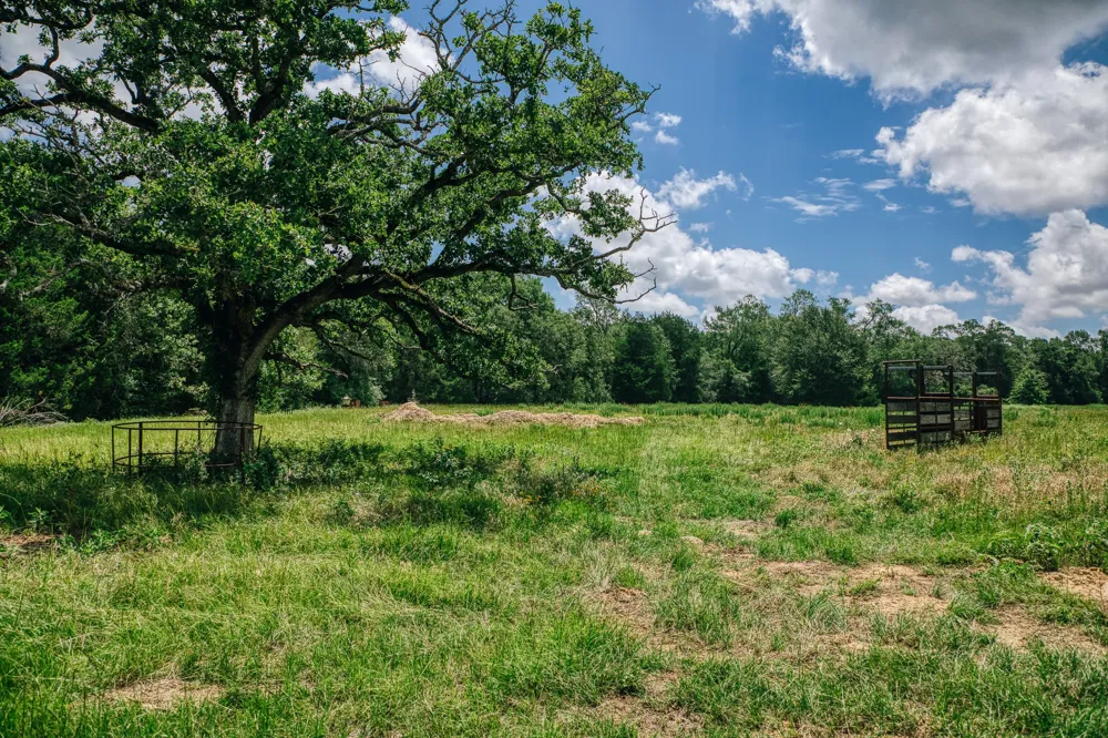9713 County Road 316 Caldwell, TX 77836