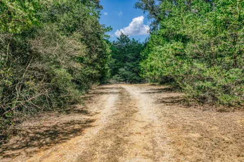 9713 County Road 316