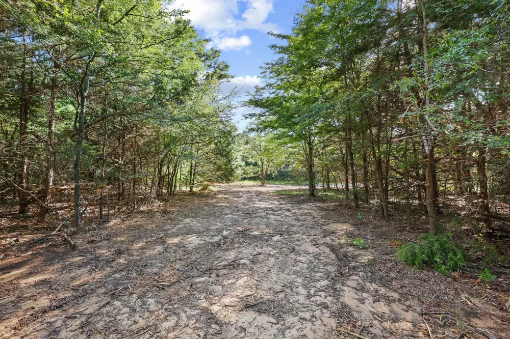 County Road 265 Collinsville, TX 76233