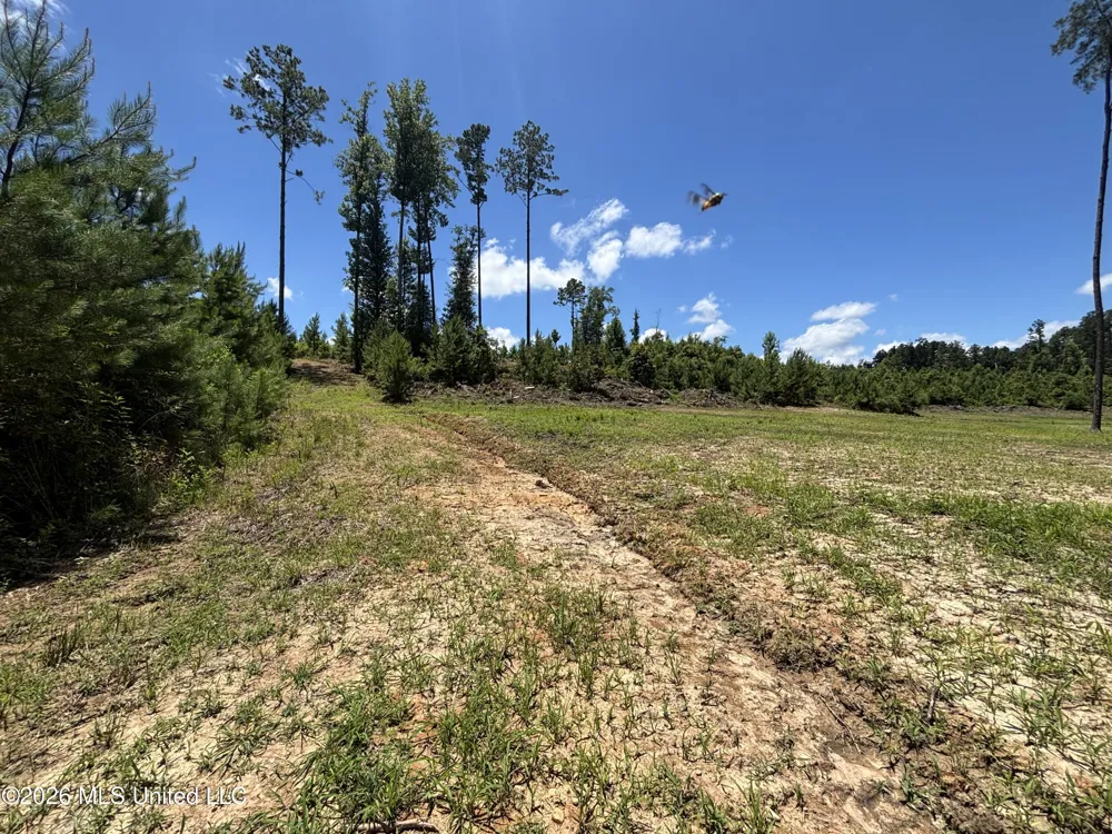 Stump Road Crosby, MS 39633