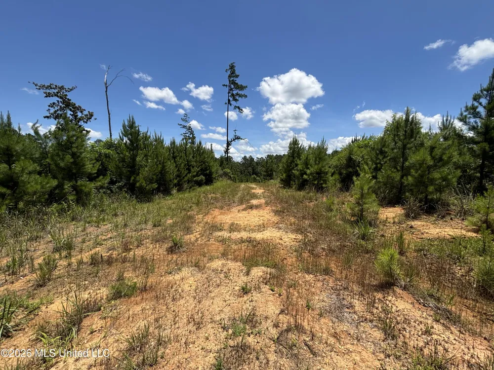 Stump Road Crosby, MS 39633