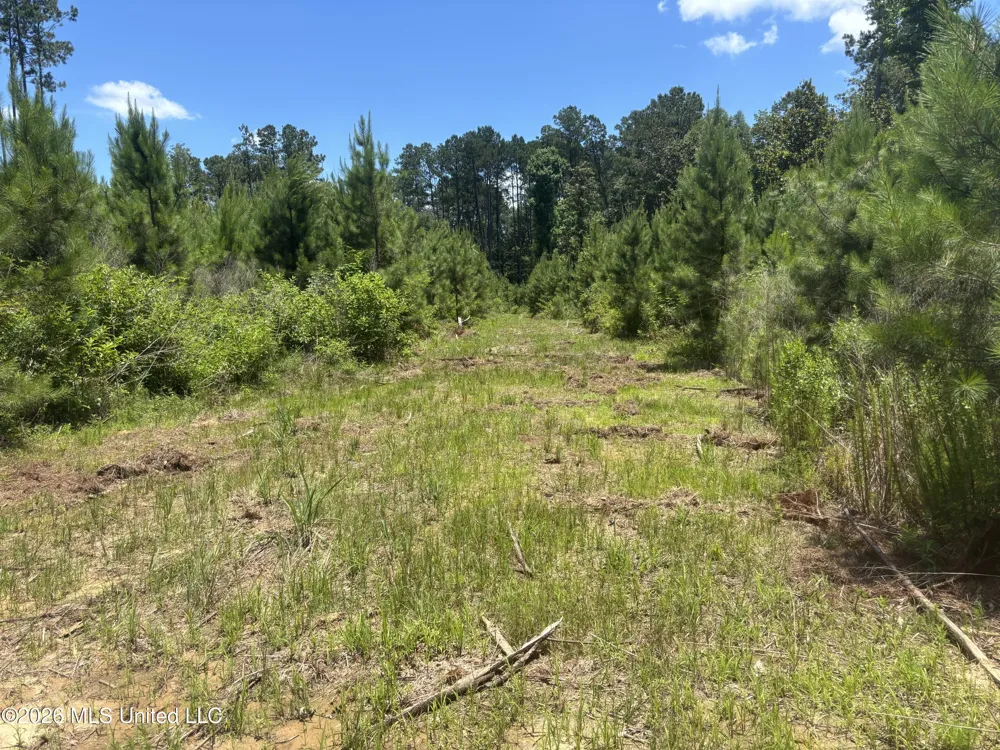 Stump Road Crosby, MS 39633