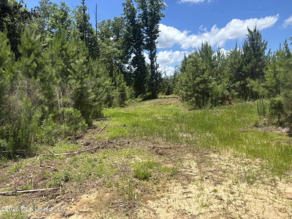 Stump Road Crosby, MS 39633
